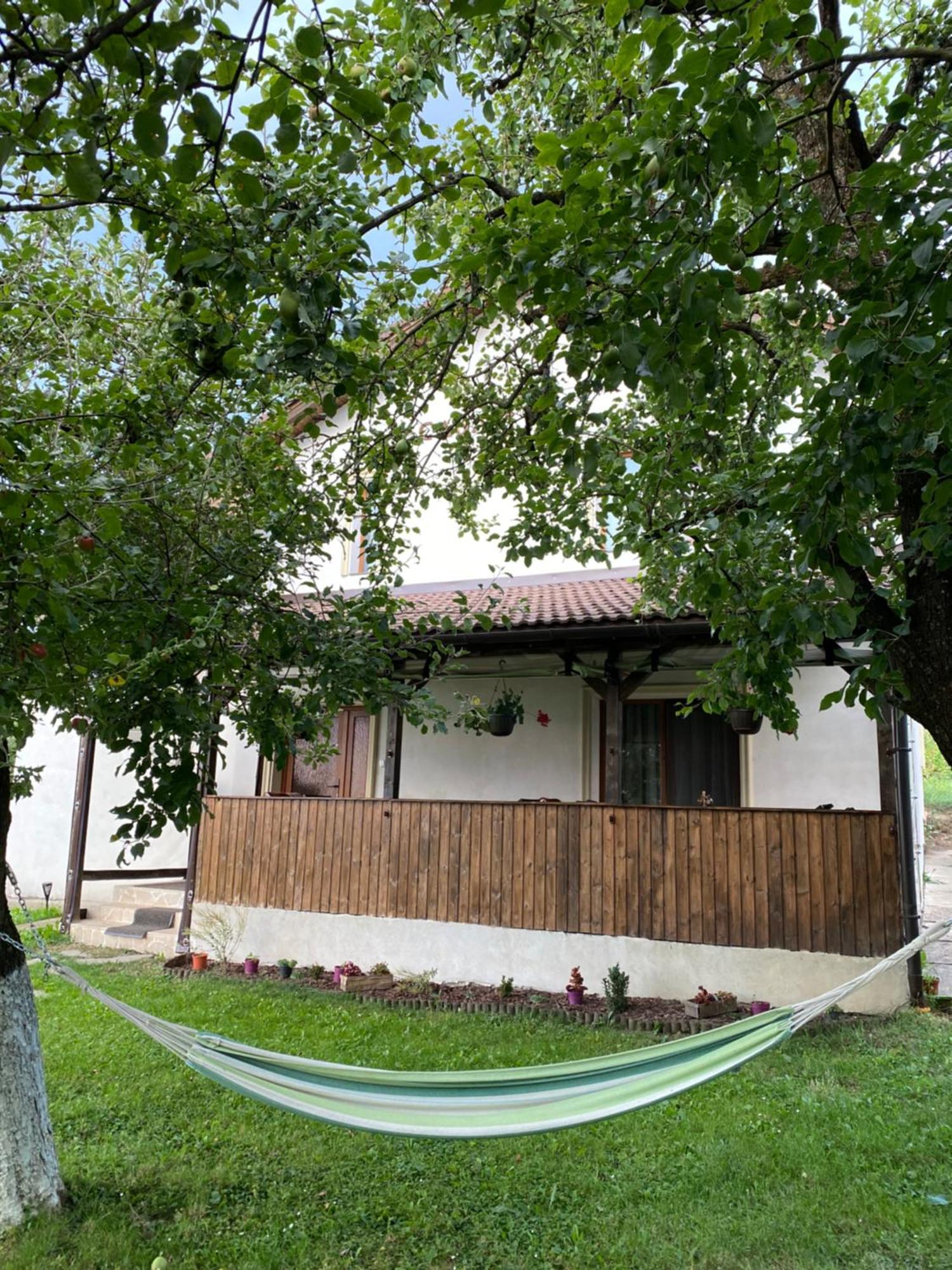 Casa Faget Pensiune *